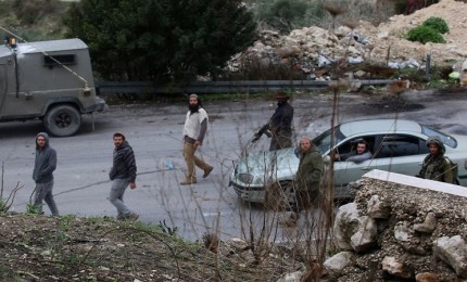 مستوطنون يقطعون مئات أشجار الزيتون جنوب نابلس