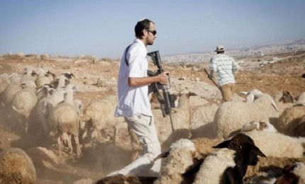 مستوطنون يعتدون على أراضي المواطنين جنوب نابلس