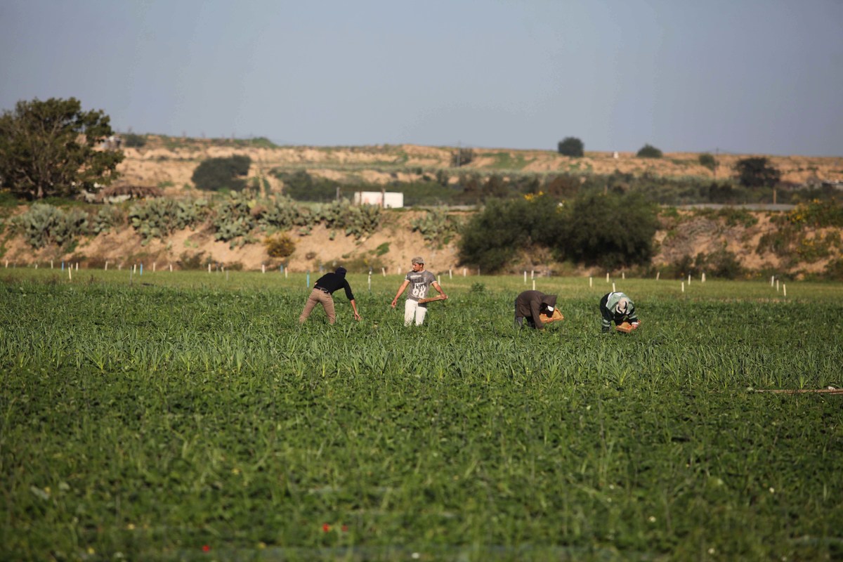 ( تعبيرية )
